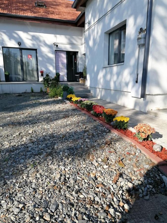 Vila Ana クルージュ＝ナポカ エクステリア 写真